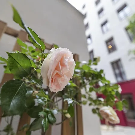 Apartment Petito Paris