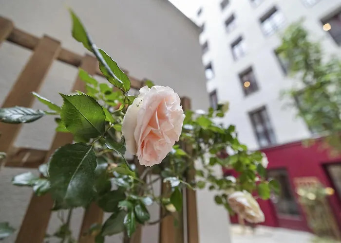 Appartement Petito Parijs